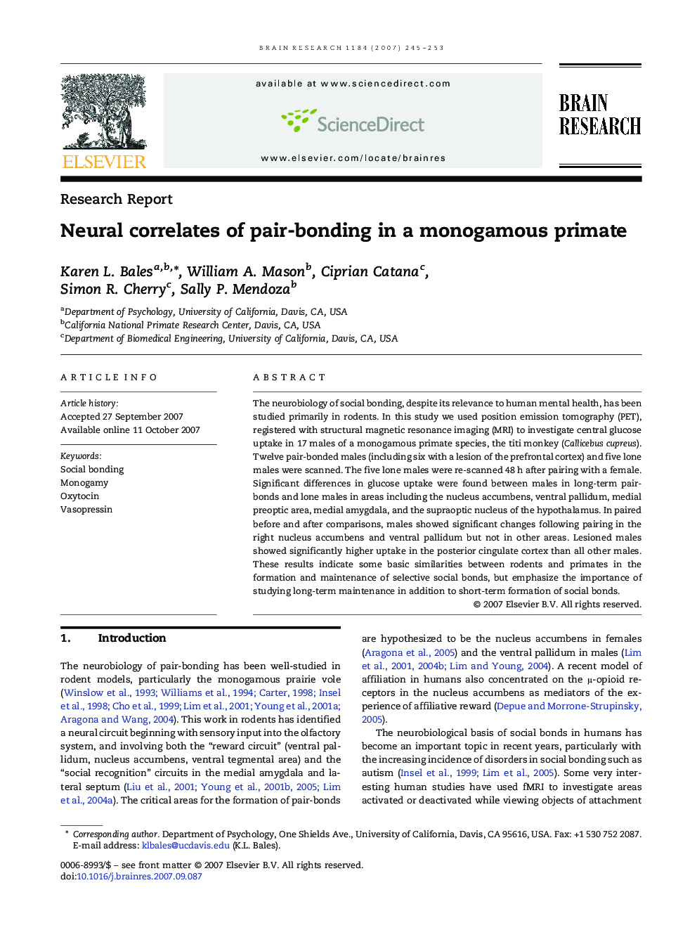 Neural correlates of pair-bonding in a monogamous primate