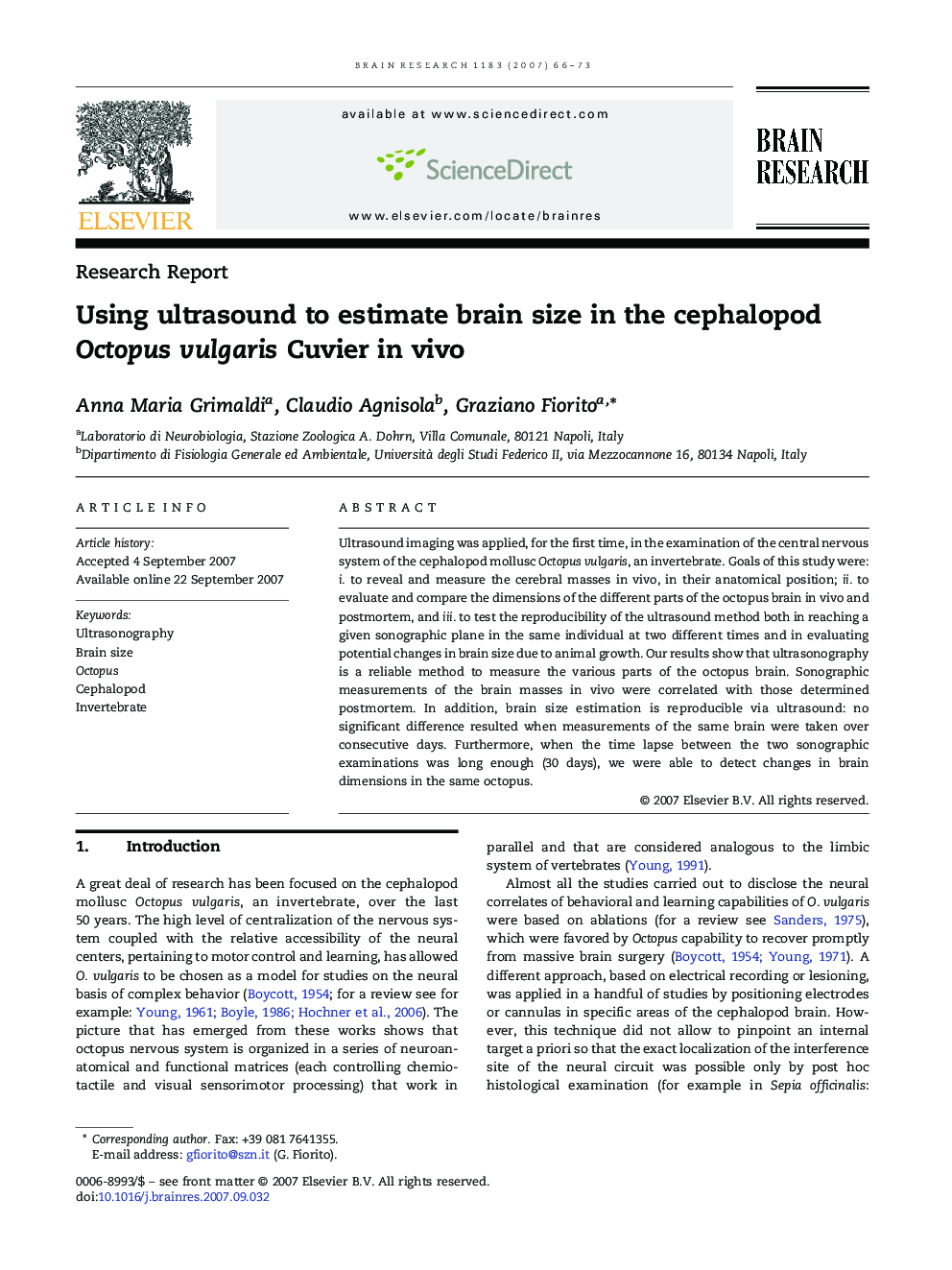 Using ultrasound to estimate brain size in the cephalopod Octopus vulgaris Cuvier in vivo