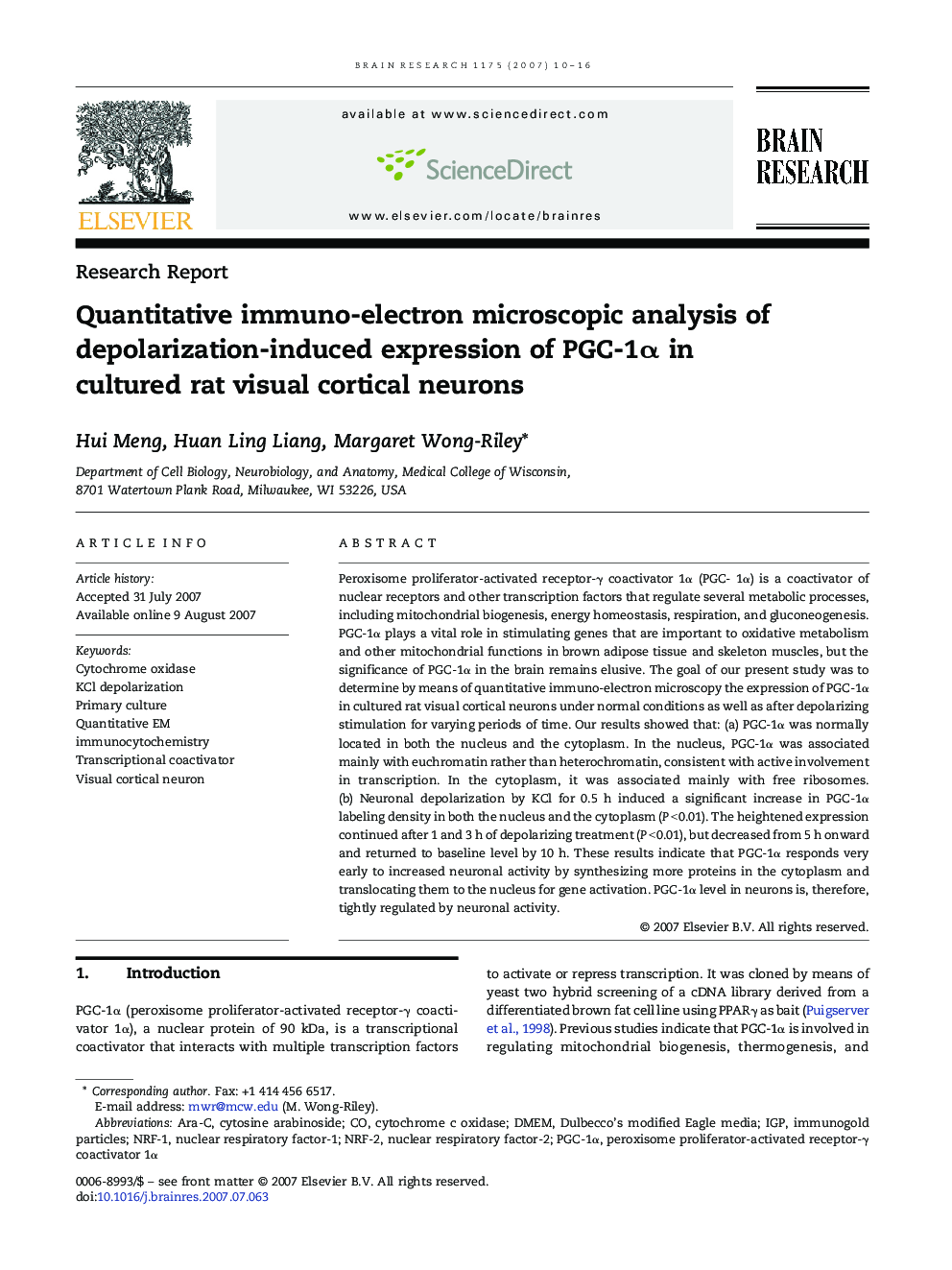 Quantitative immuno-electron microscopic analysis of depolarization-induced expression of PGC-1α in cultured rat visual cortical neurons