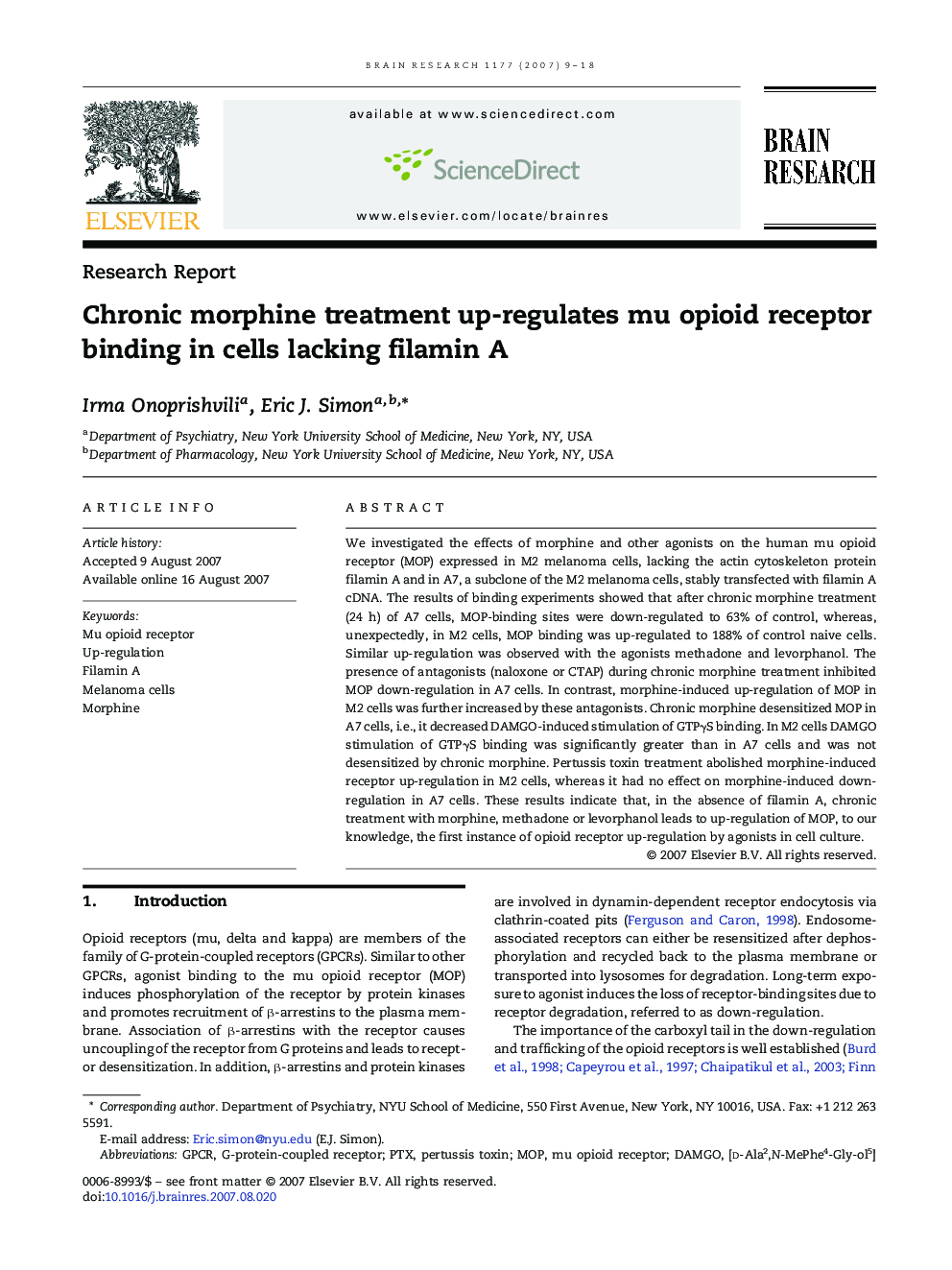 Chronic morphine treatment up-regulates mu opioid receptor binding in cells lacking filamin A