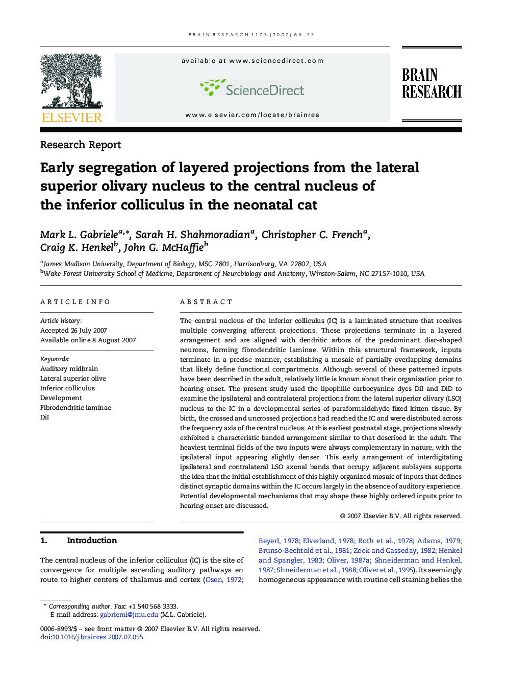 Early segregation of layered projections from the lateral superior olivary nucleus to the central nucleus of the inferior colliculus in the neonatal cat