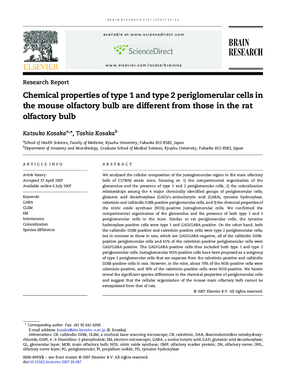 Chemical properties of type 1 and type 2 periglomerular cells in the mouse olfactory bulb are different from those in the rat olfactory bulb