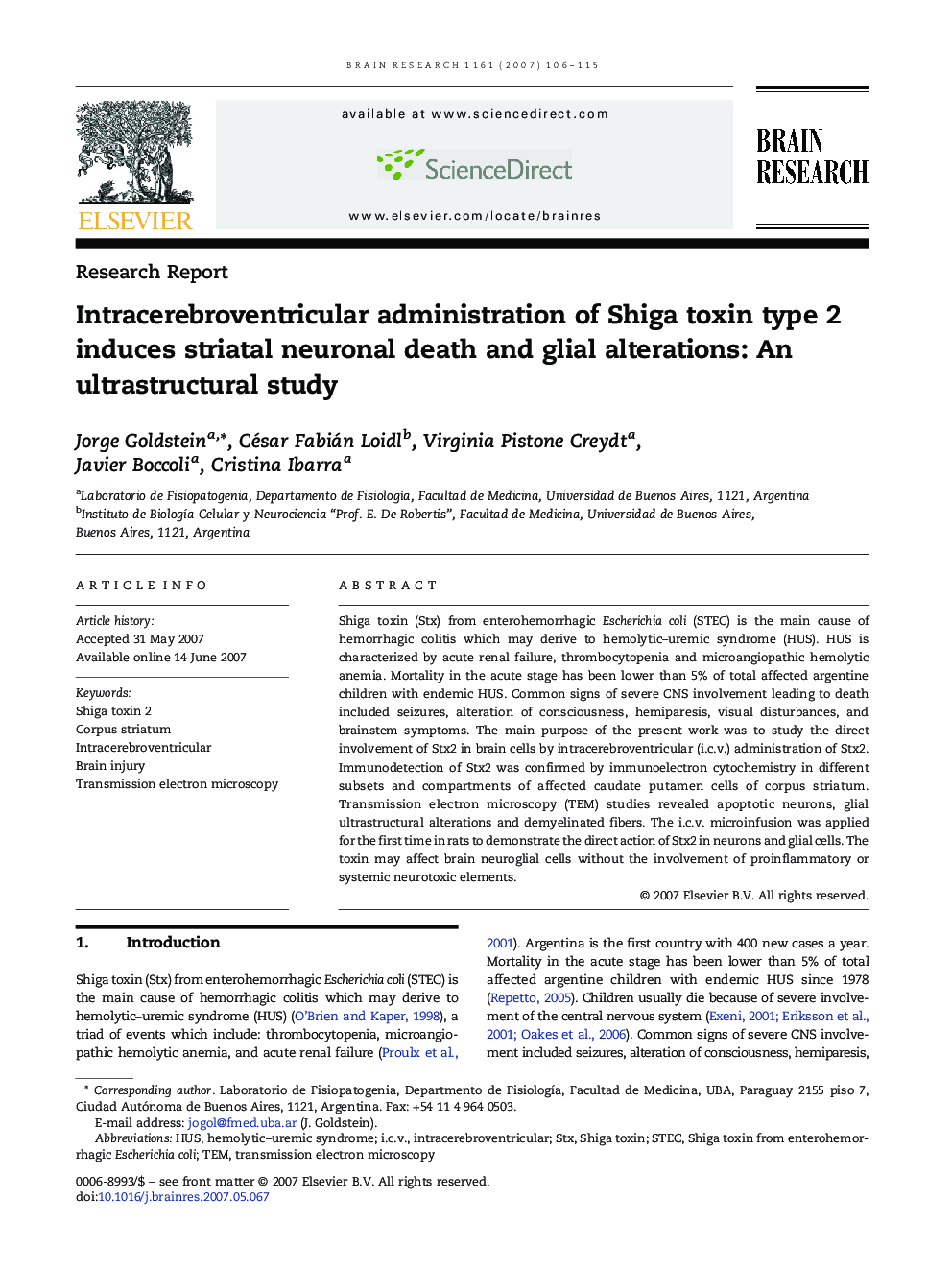 Intracerebroventricular administration of Shiga toxin type 2 induces striatal neuronal death and glial alterations: An ultrastructural study