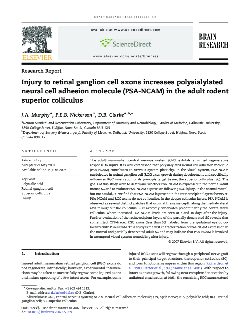 Injury to retinal ganglion cell axons increases polysialylated neural cell adhesion molecule (PSA-NCAM) in the adult rodent superior colliculus