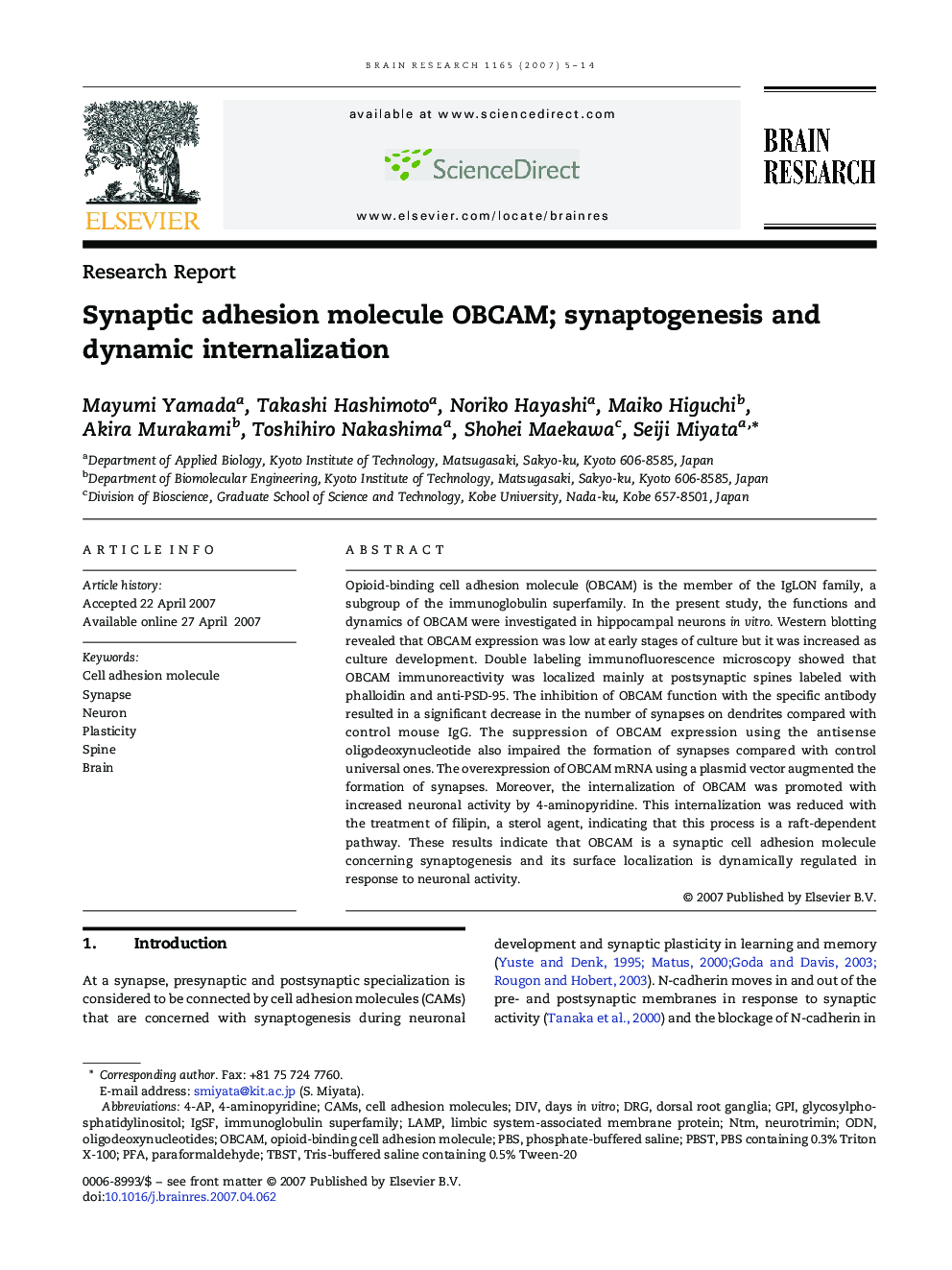 Synaptic adhesion molecule OBCAM; synaptogenesis and dynamic internalization