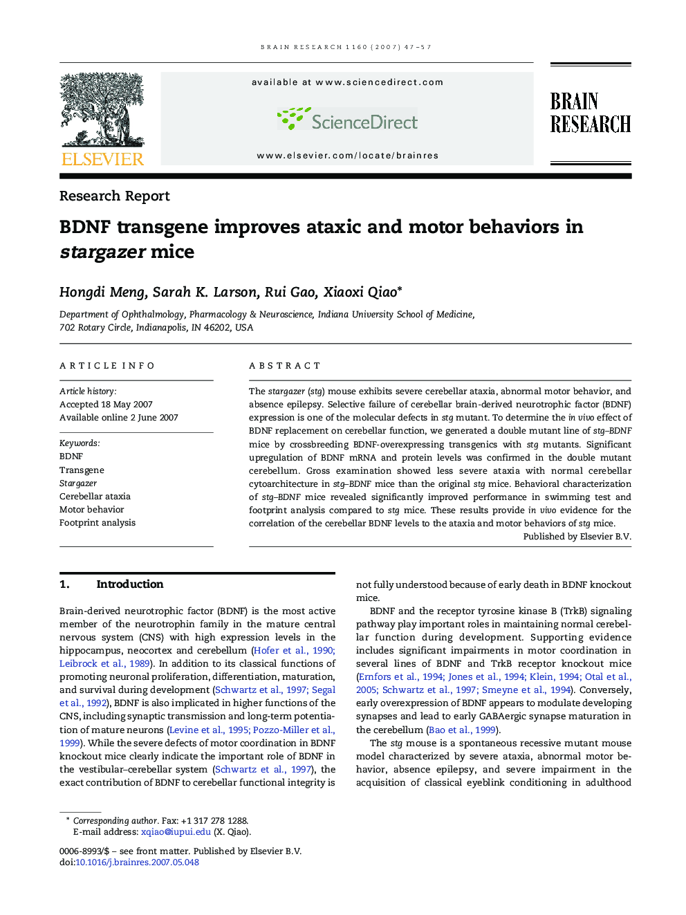 BDNF transgene improves ataxic and motor behaviors in stargazer mice