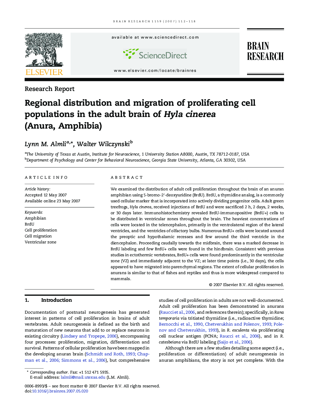 Regional distribution and migration of proliferating cell populations in the adult brain of Hyla cinerea (Anura, Amphibia)