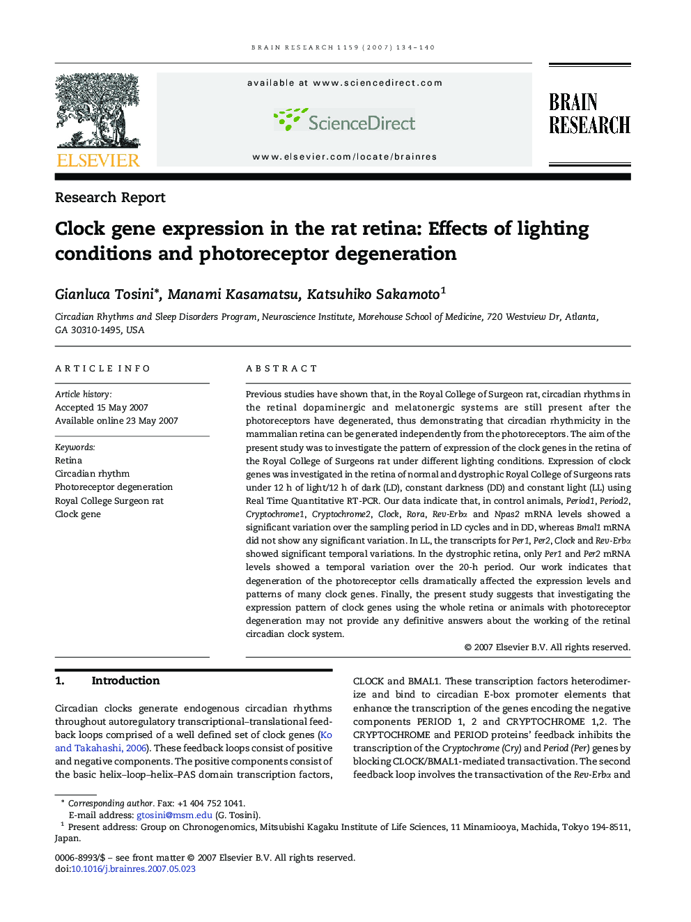 Clock gene expression in the rat retina: Effects of lighting conditions and photoreceptor degeneration