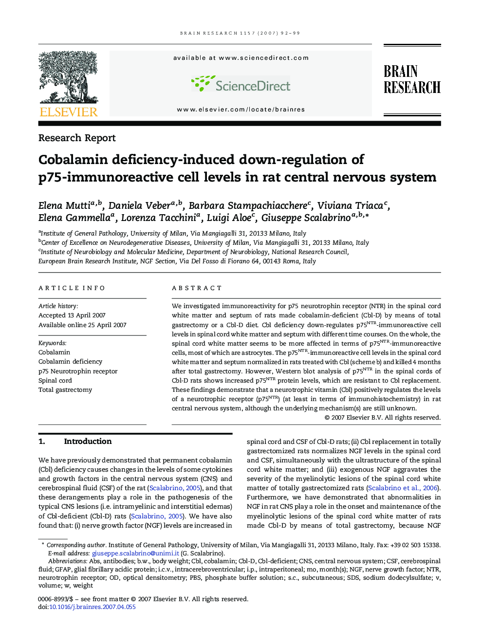 Cobalamin deficiency-induced down-regulation of p75-immunoreactive cell levels in rat central nervous system