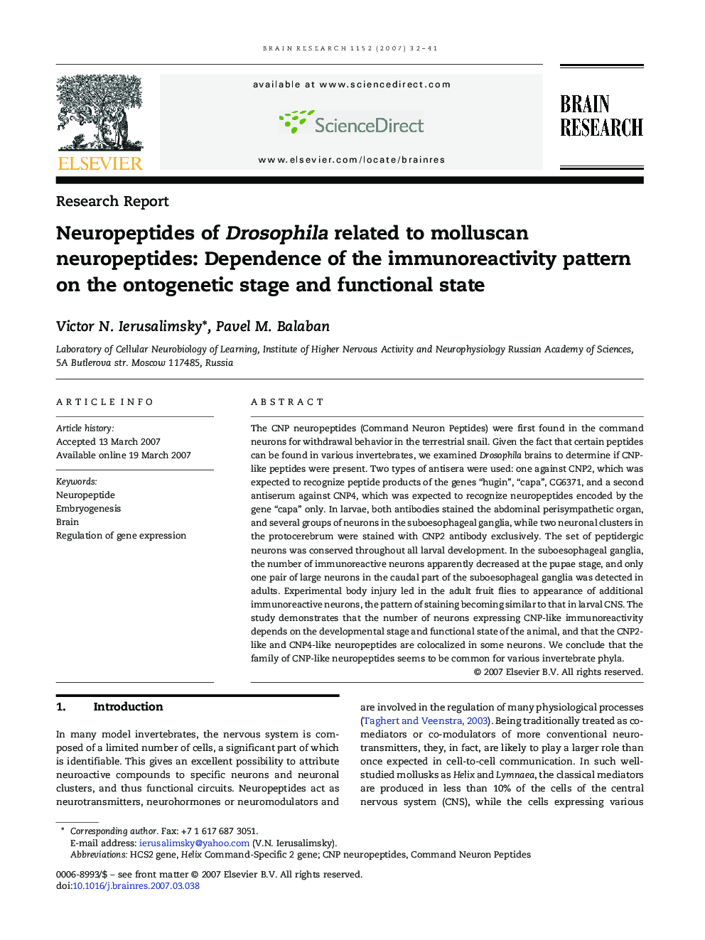 Neuropeptides of Drosophila related to molluscan neuropeptides: Dependence of the immunoreactivity pattern on the ontogenetic stage and functional state