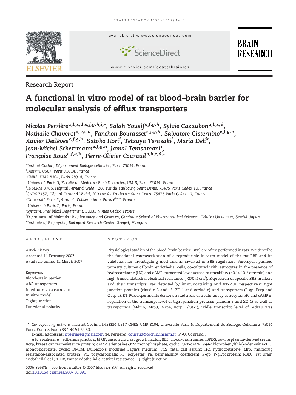 A functional in vitro model of rat blood–brain barrier for molecular analysis of efflux transporters