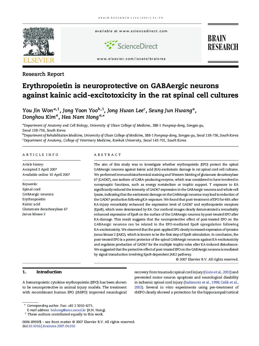 Erythropoietin is neuroprotective on GABAergic neurons against kainic acid-excitotoxicity in the rat spinal cell cultures