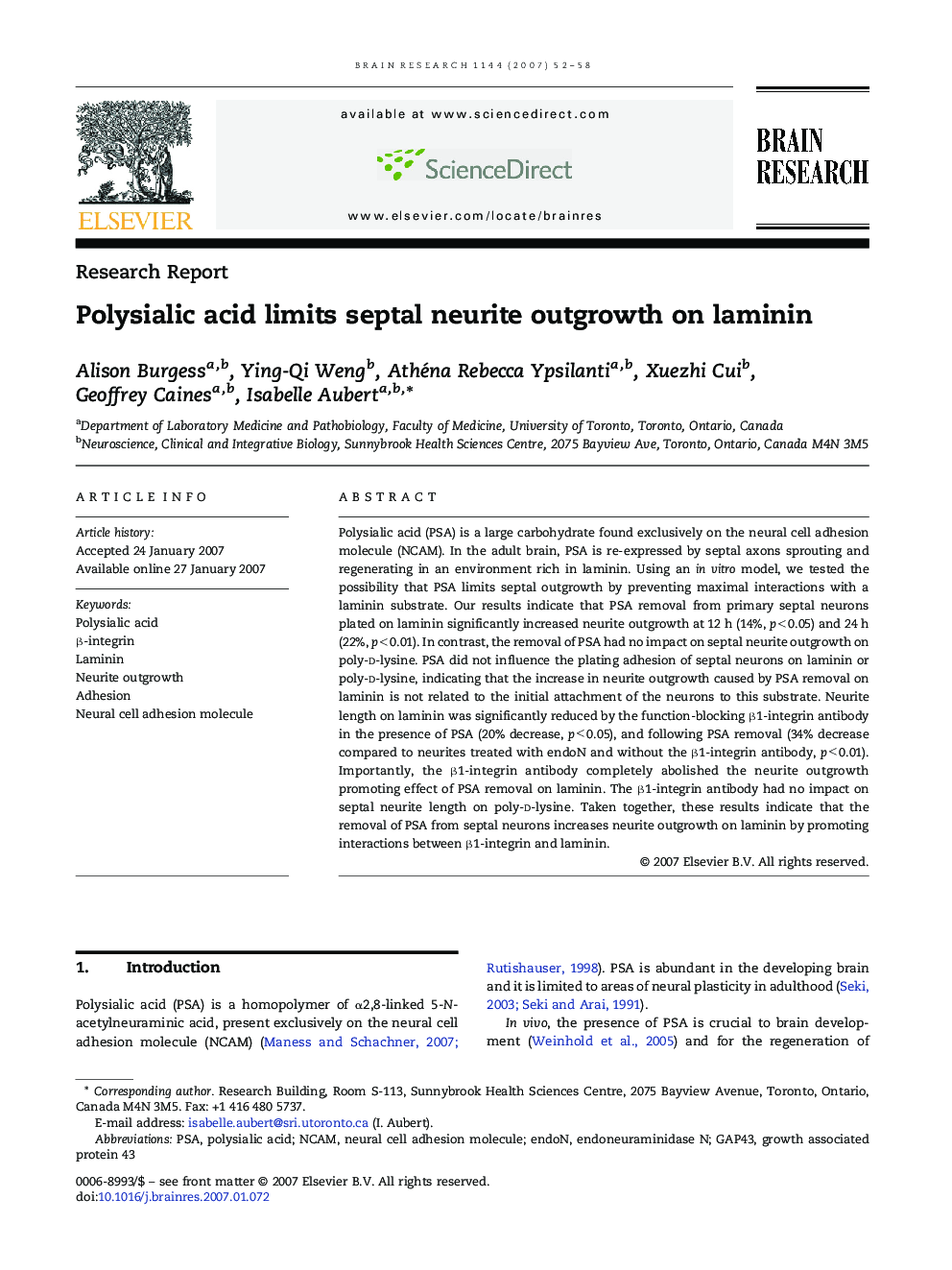 Polysialic acid limits septal neurite outgrowth on laminin