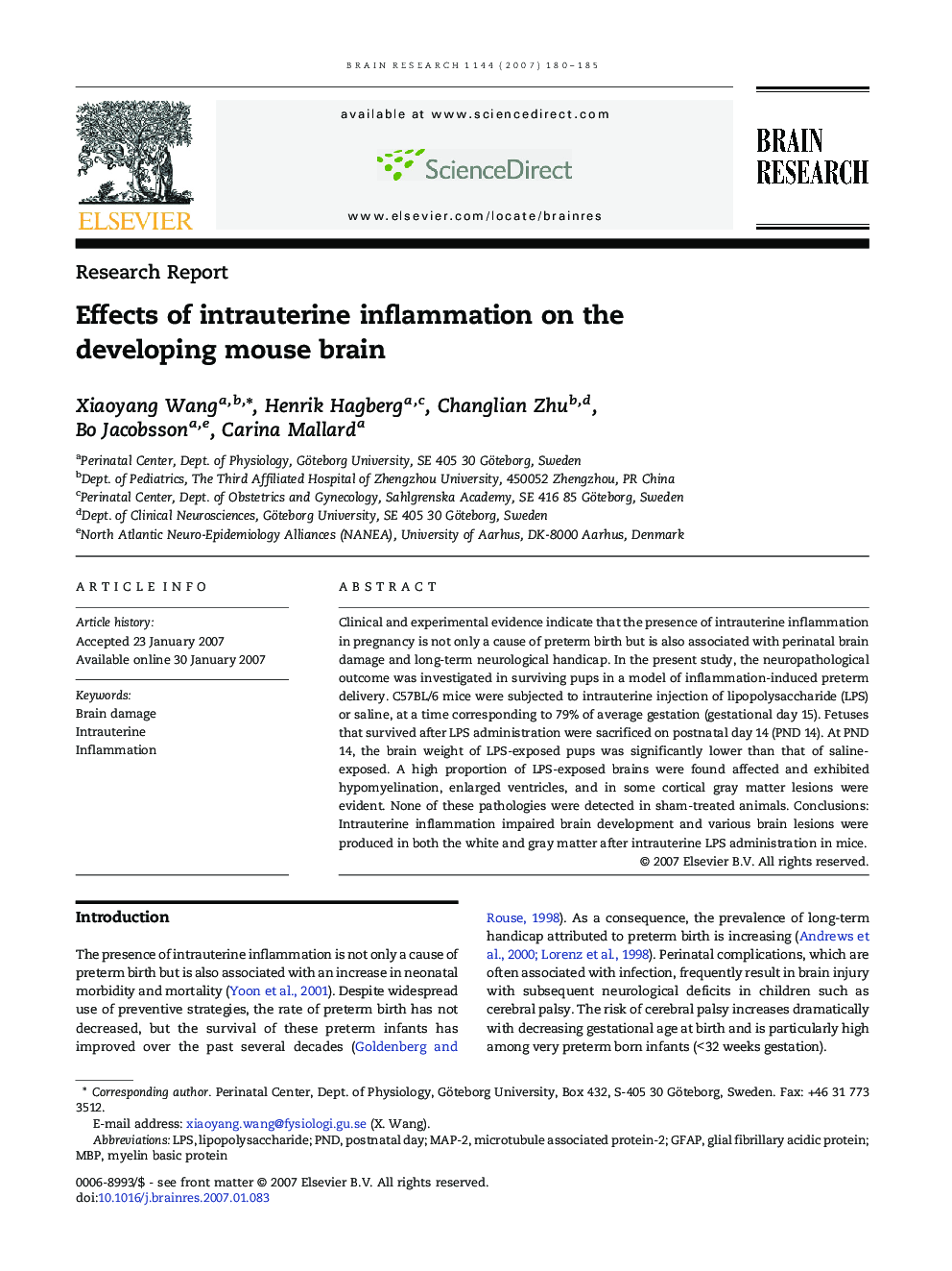 Effects of intrauterine inflammation on the developing mouse brain