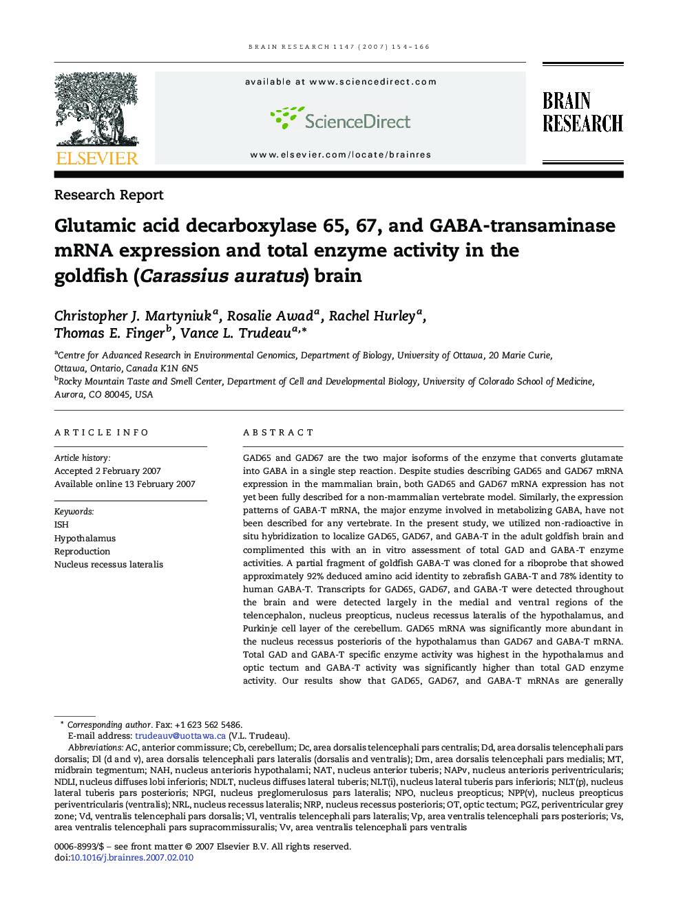 Glutamic acid decarboxylase 65, 67, and GABA-transaminase mRNA expression and total enzyme activity in the goldfish (Carassius auratus) brain