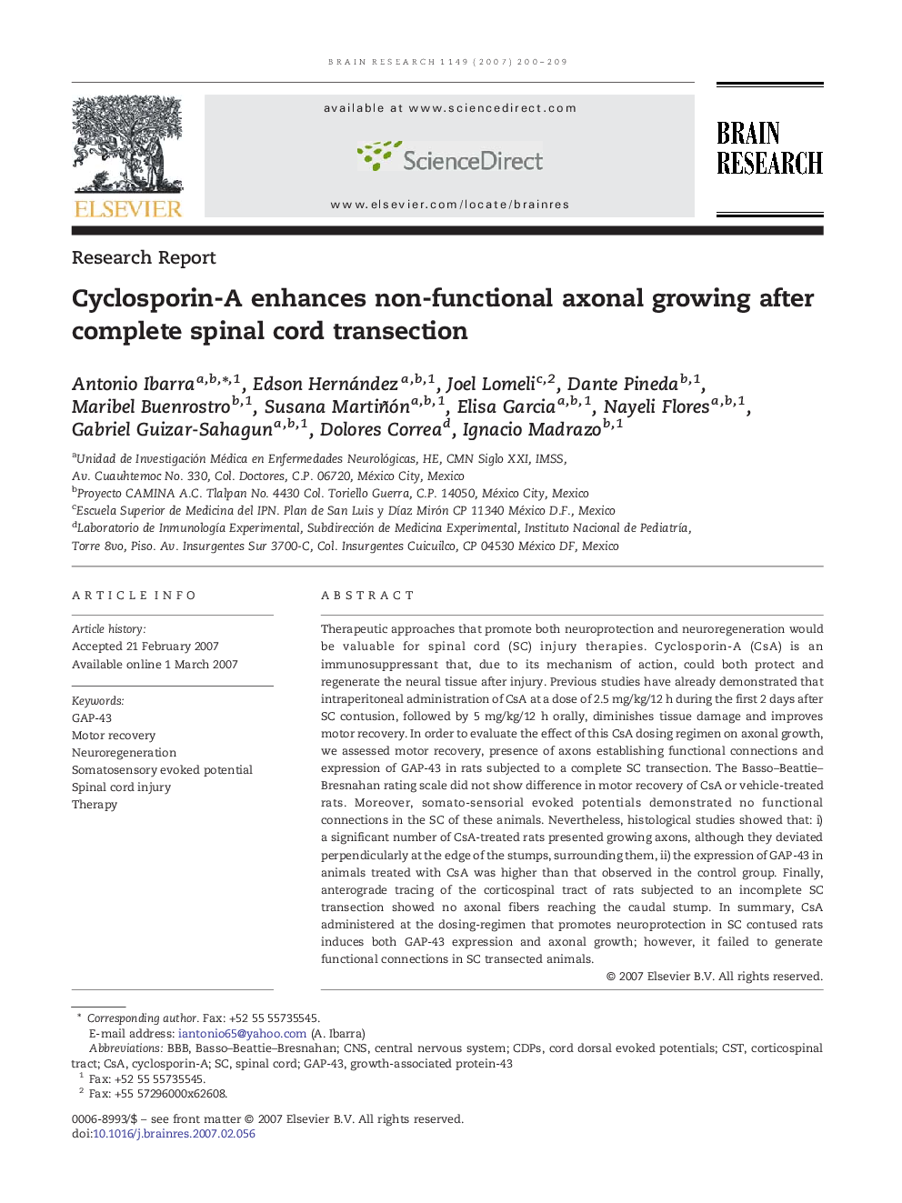 Cyclosporin-A enhances non-functional axonal growing after complete spinal cord transection