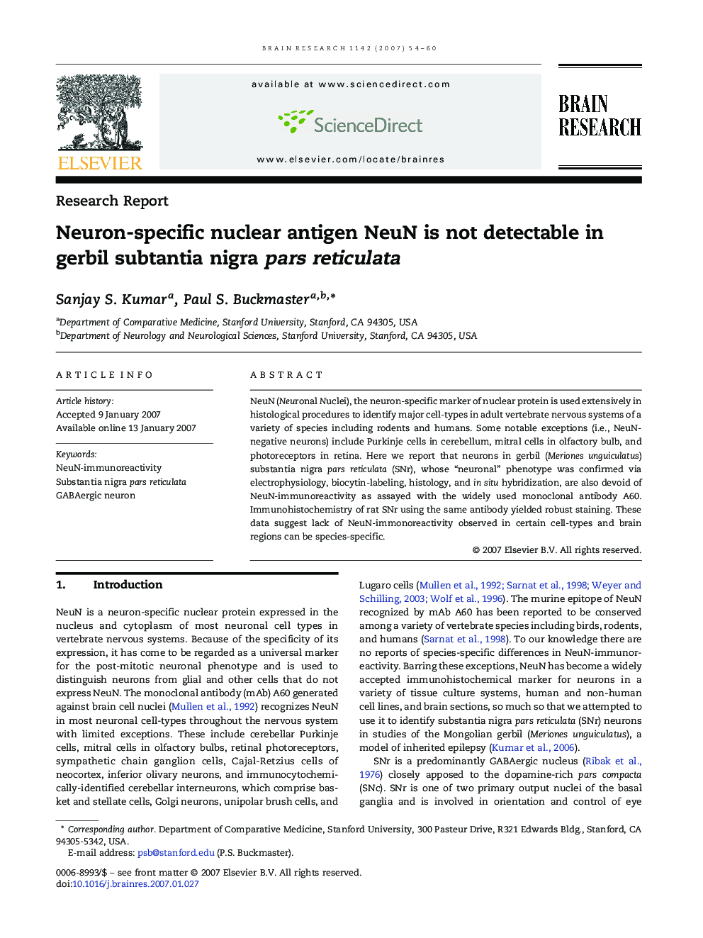 Neuron-specific nuclear antigen NeuN is not detectable in gerbil subtantia nigra pars reticulata