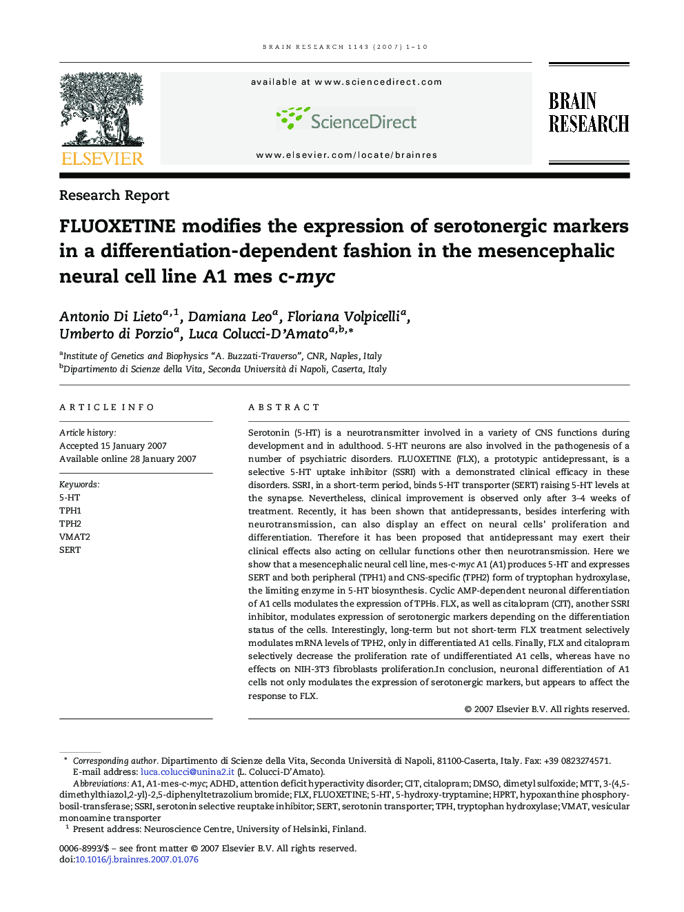 FLUOXETINE modifies the expression of serotonergic markers in a differentiation-dependent fashion in the mesencephalic neural cell line A1 mes c-myc