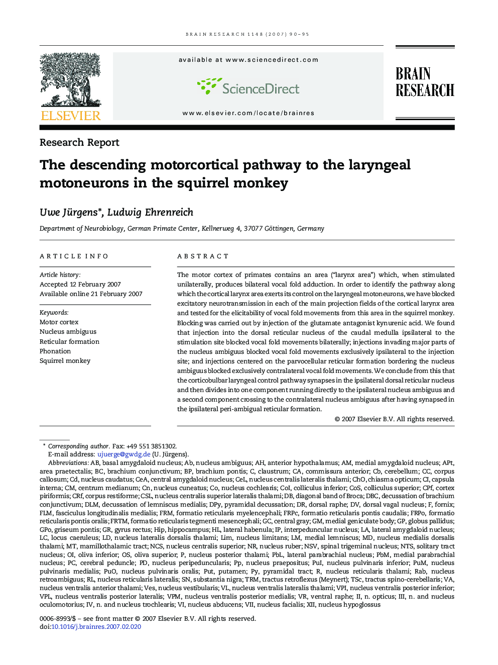 The descending motorcortical pathway to the laryngeal motoneurons in the squirrel monkey