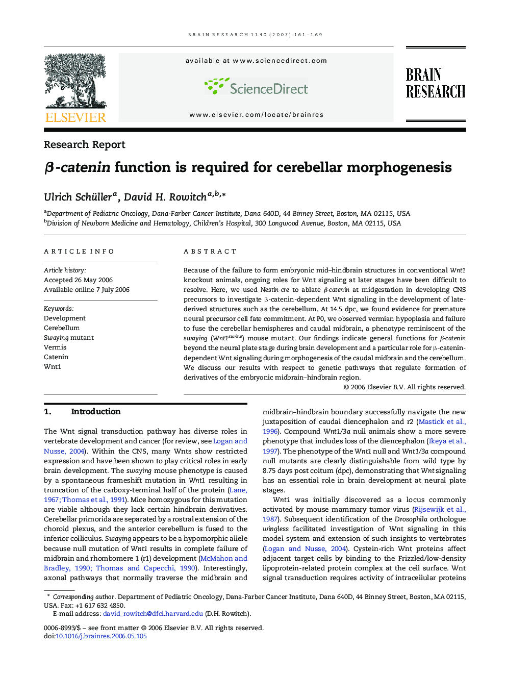 β-catenin function is required for cerebellar morphogenesis