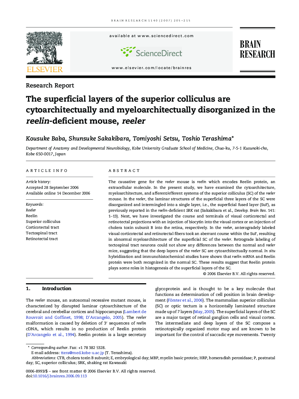 The superficial layers of the superior colliculus are cytoarchitectually and myeloarchitectually disorganized in the reelin-deficient mouse, reeler