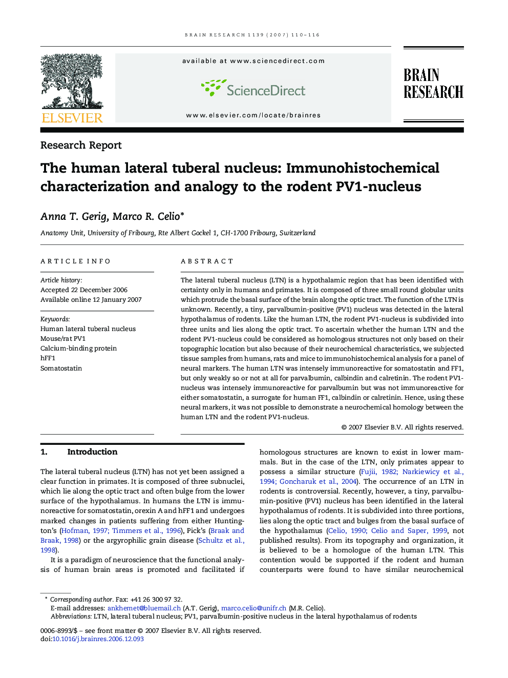 The human lateral tuberal nucleus: Immunohistochemical characterization and analogy to the rodent PV1-nucleus