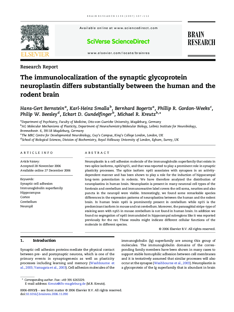 The immunolocalization of the synaptic glycoprotein neuroplastin differs substantially between the human and the rodent brain