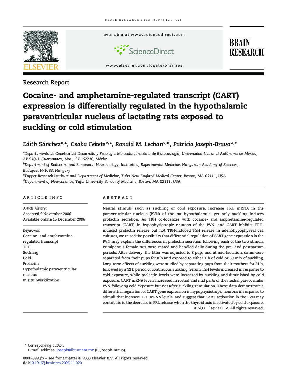 Cocaine- and amphetamine-regulated transcript (CART) expression is differentially regulated in the hypothalamic paraventricular nucleus of lactating rats exposed to suckling or cold stimulation