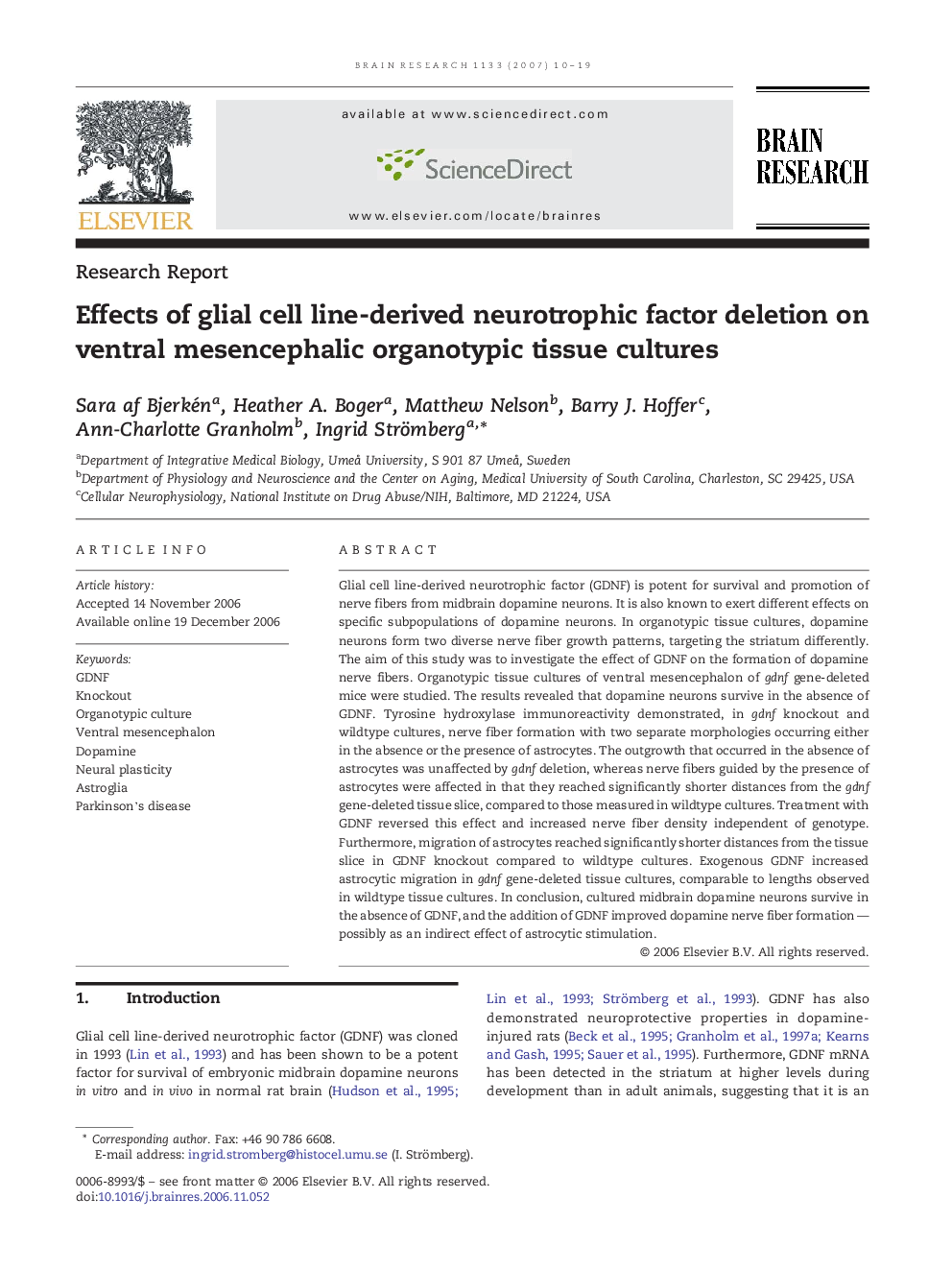 Effects of glial cell line-derived neurotrophic factor deletion on ventral mesencephalic organotypic tissue cultures