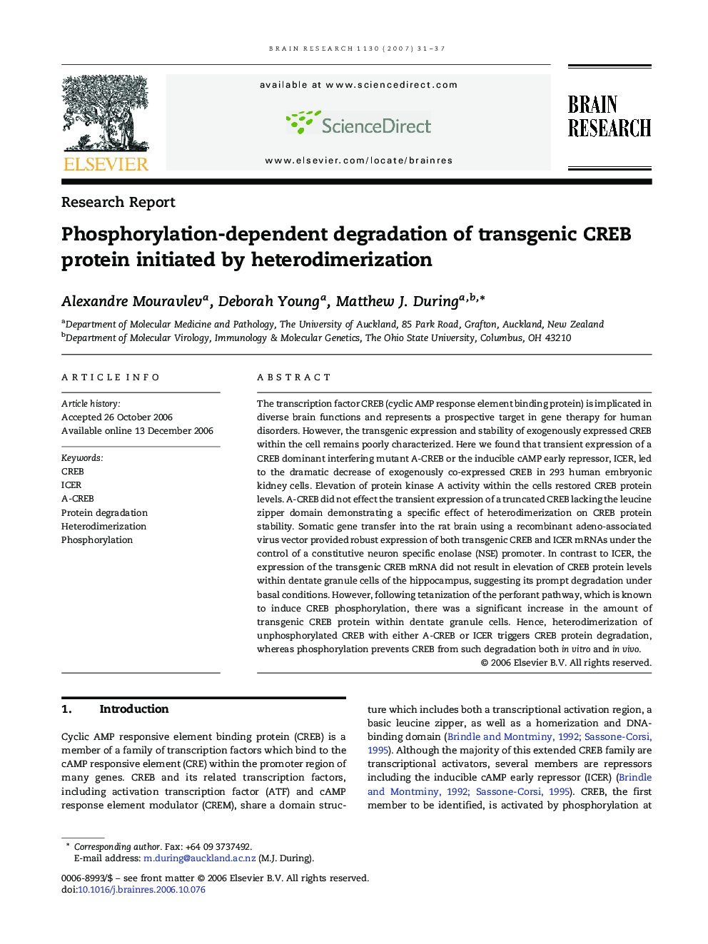 Phosphorylation-dependent degradation of transgenic CREB protein initiated by heterodimerization