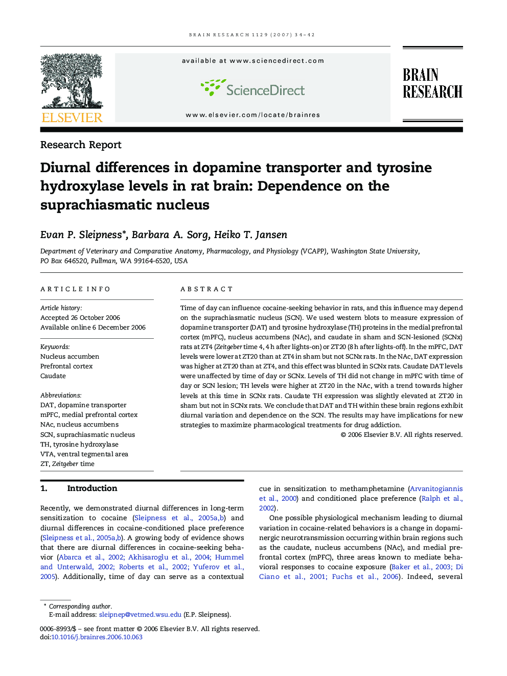 Diurnal differences in dopamine transporter and tyrosine hydroxylase levels in rat brain: Dependence on the suprachiasmatic nucleus