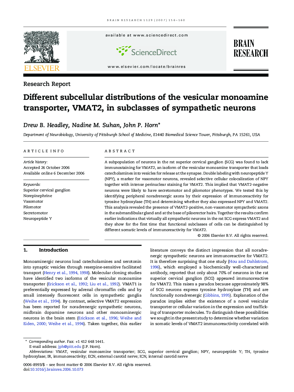 Different subcellular distributions of the vesicular monoamine transporter, VMAT2, in subclasses of sympathetic neurons