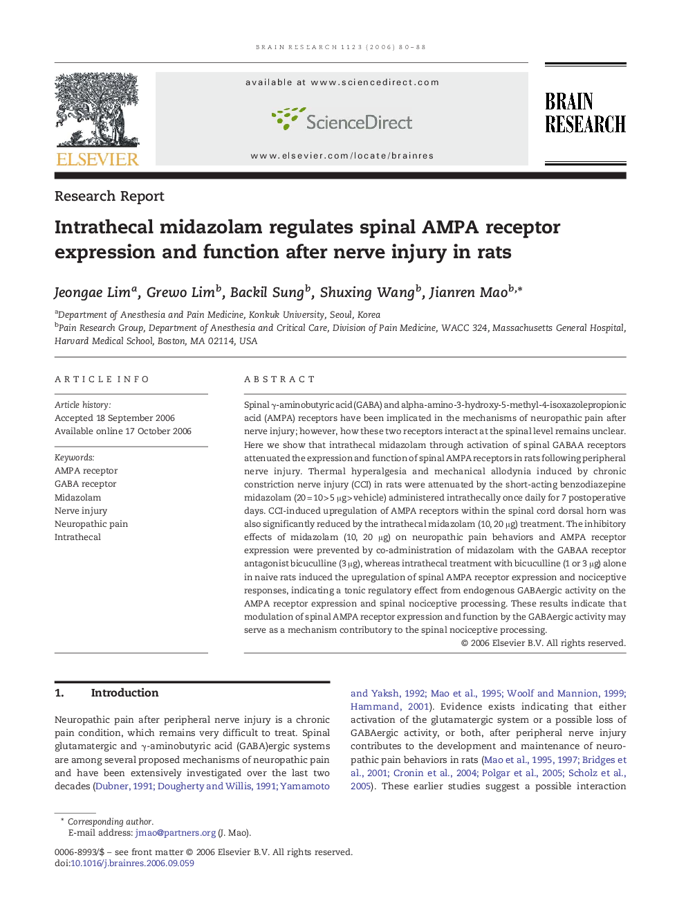 Intrathecal midazolam regulates spinal AMPA receptor expression and function after nerve injury in rats