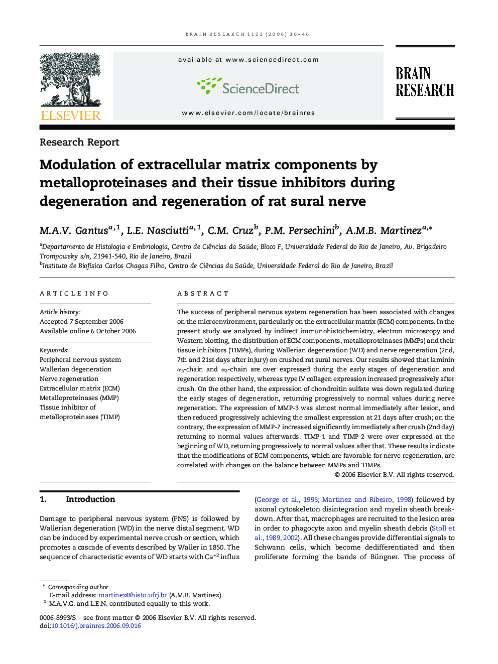 Modulation of extracellular matrix components by metalloproteinases and their tissue inhibitors during degeneration and regeneration of rat sural nerve