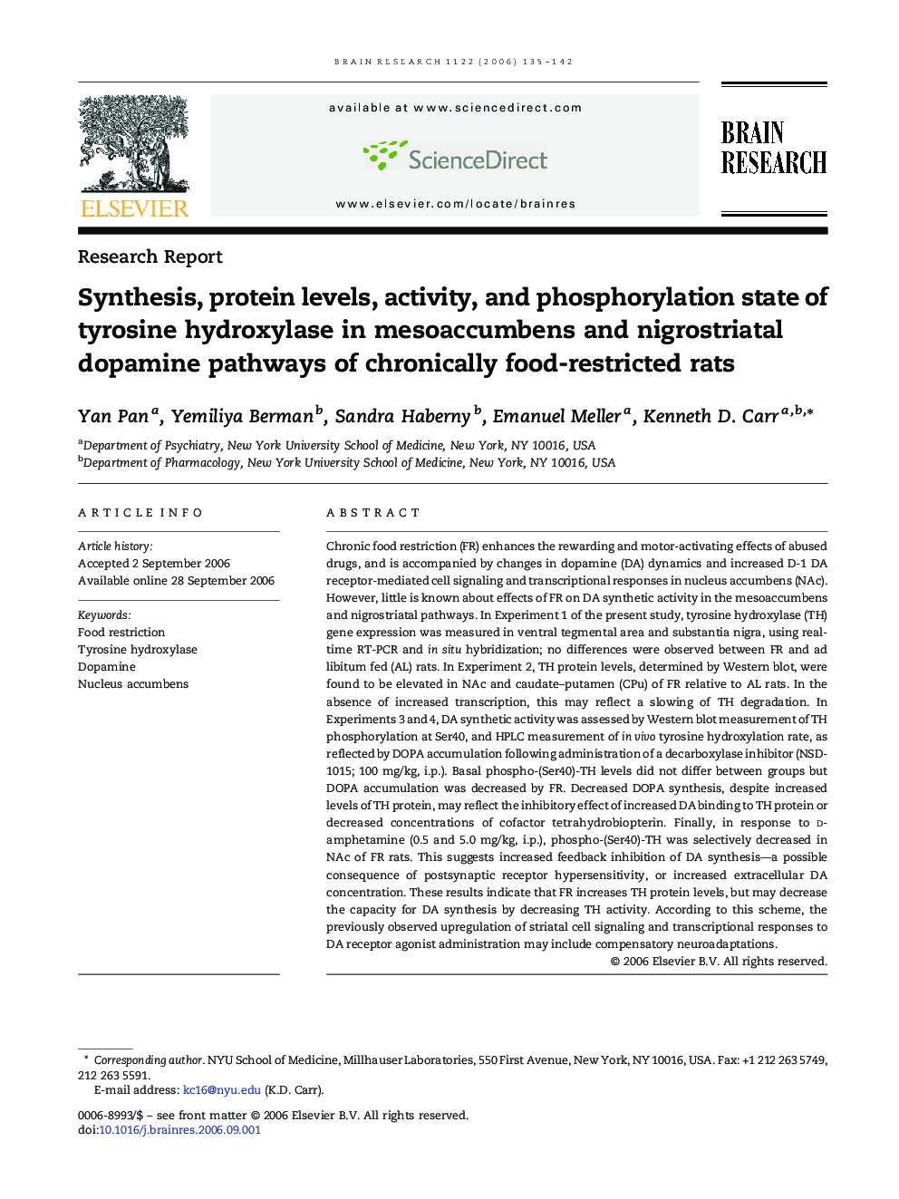 Synthesis, protein levels, activity, and phosphorylation state of tyrosine hydroxylase in mesoaccumbens and nigrostriatal dopamine pathways of chronically food-restricted rats