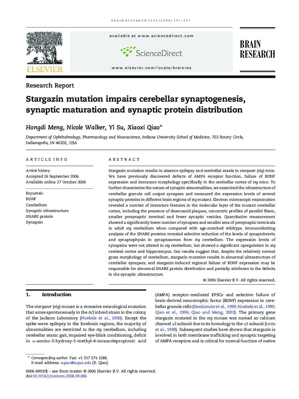 Stargazin mutation impairs cerebellar synaptogenesis, synaptic maturation and synaptic protein distribution