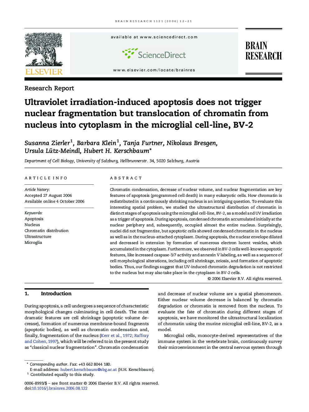 Ultraviolet irradiation-induced apoptosis does not trigger nuclear fragmentation but translocation of chromatin from nucleus into cytoplasm in the microglial cell-line, BV-2