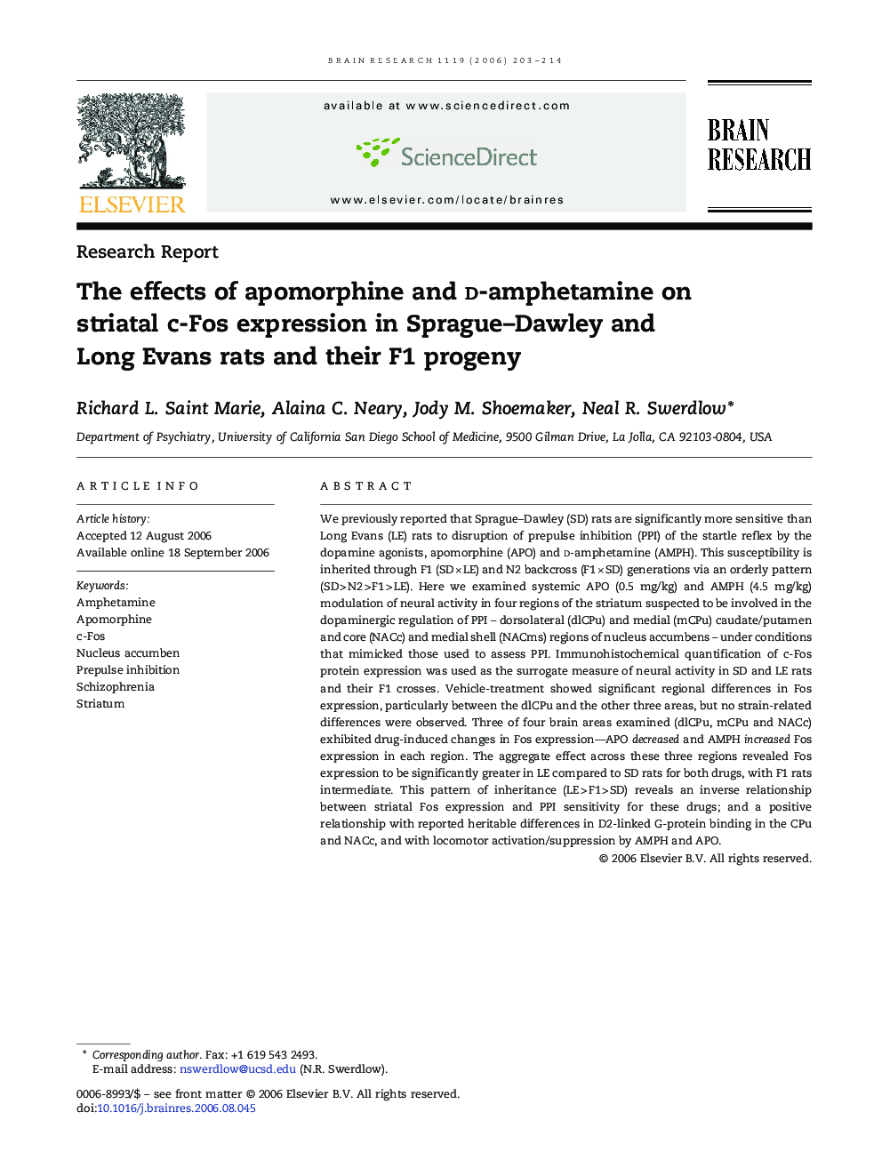 The effects of apomorphine and d-amphetamine on striatal c-Fos expression in Sprague–Dawley and Long Evans rats and their F1 progeny