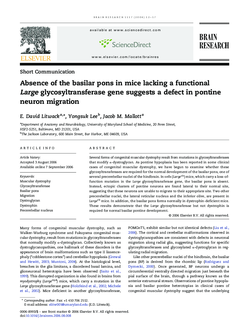 Absence of the basilar pons in mice lacking a functional Large glycosyltransferase gene suggests a defect in pontine neuron migration