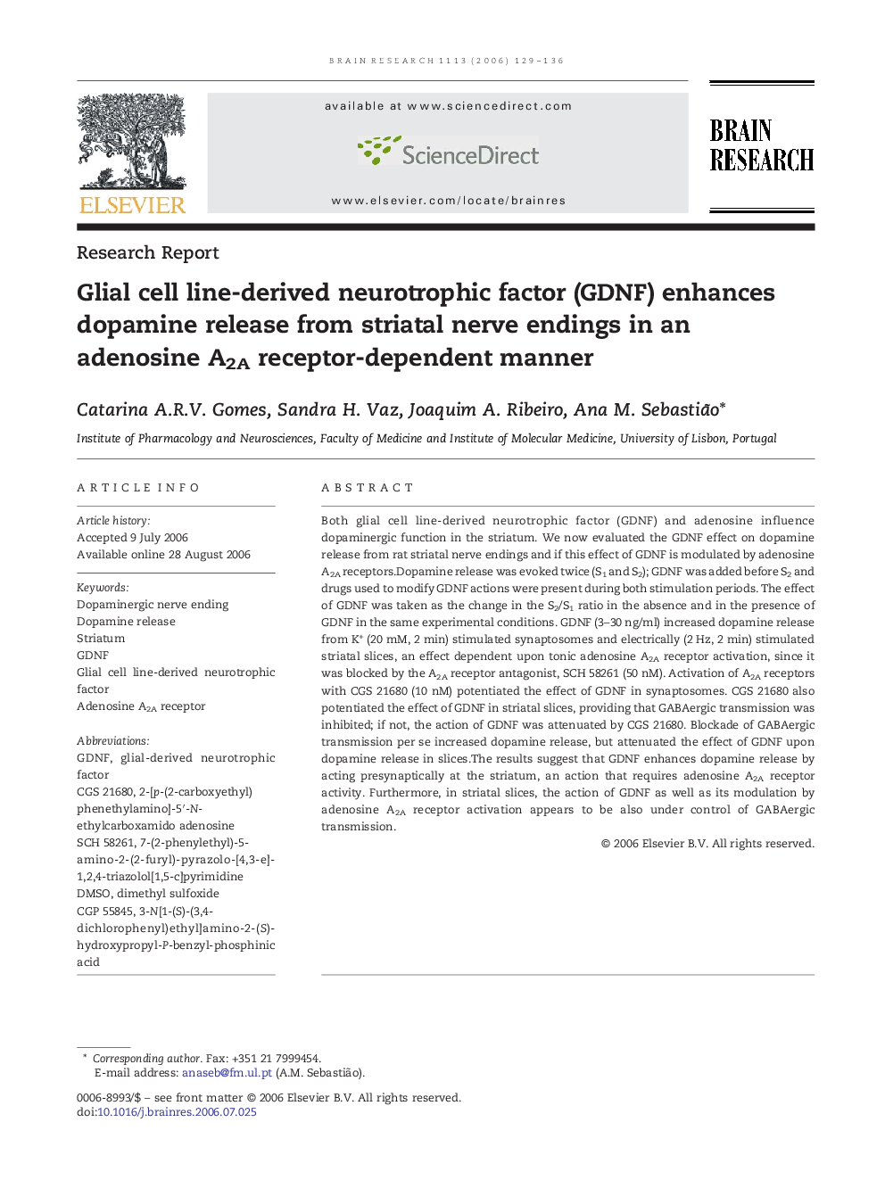 Glial cell line-derived neurotrophic factor (GDNF) enhances dopamine release from striatal nerve endings in an adenosine A2A receptor-dependent manner