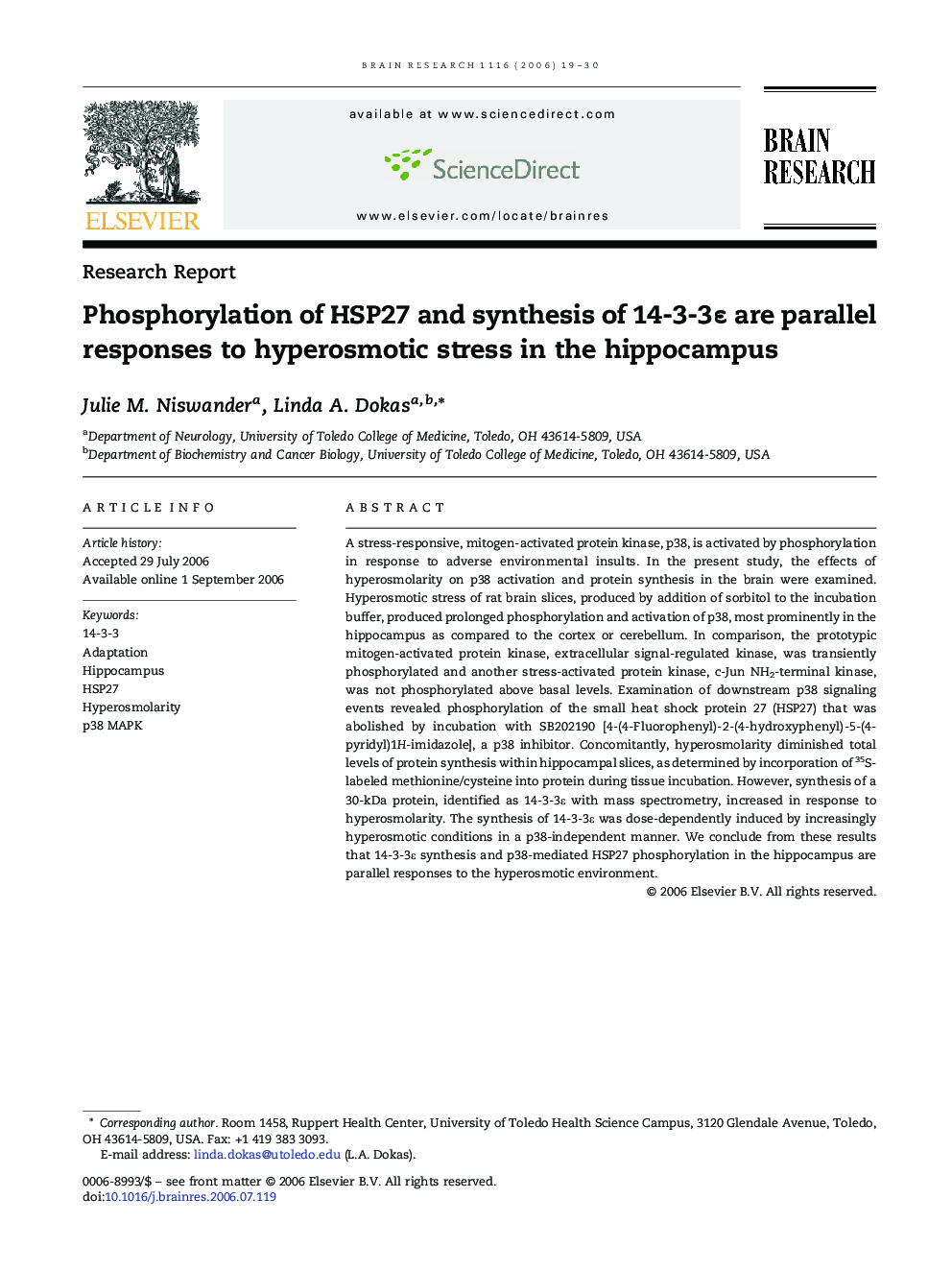 Phosphorylation of HSP27 and synthesis of 14-3-3ε are parallel responses to hyperosmotic stress in the hippocampus