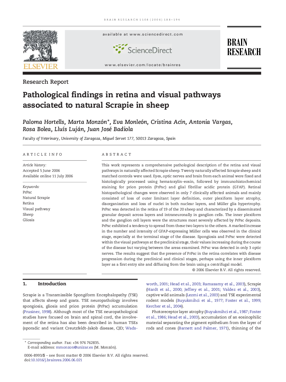 Pathological findings in retina and visual pathways associated to natural Scrapie in sheep