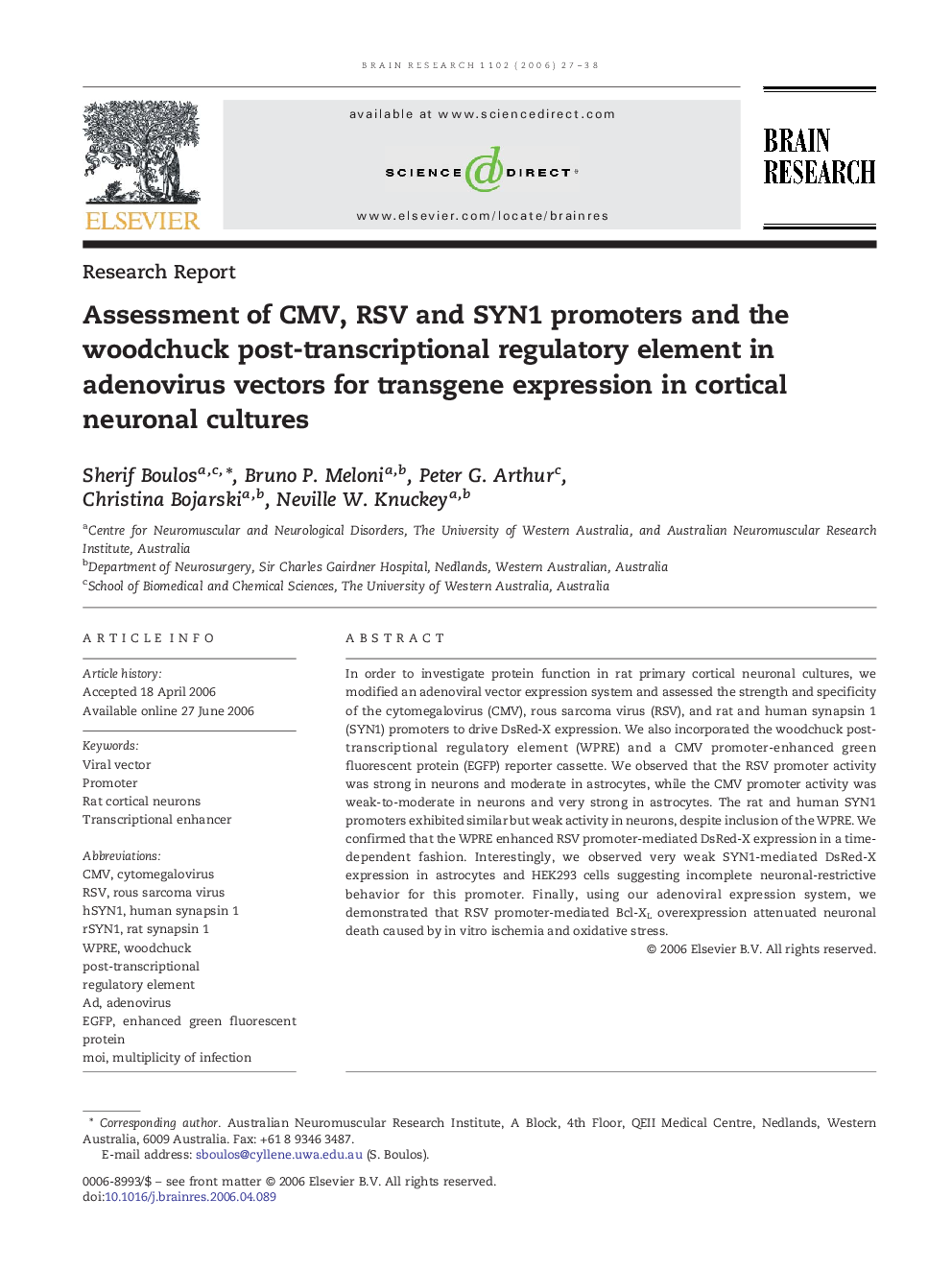 Assessment of CMV, RSV and SYN1 promoters and the woodchuck post-transcriptional regulatory element in adenovirus vectors for transgene expression in cortical neuronal cultures