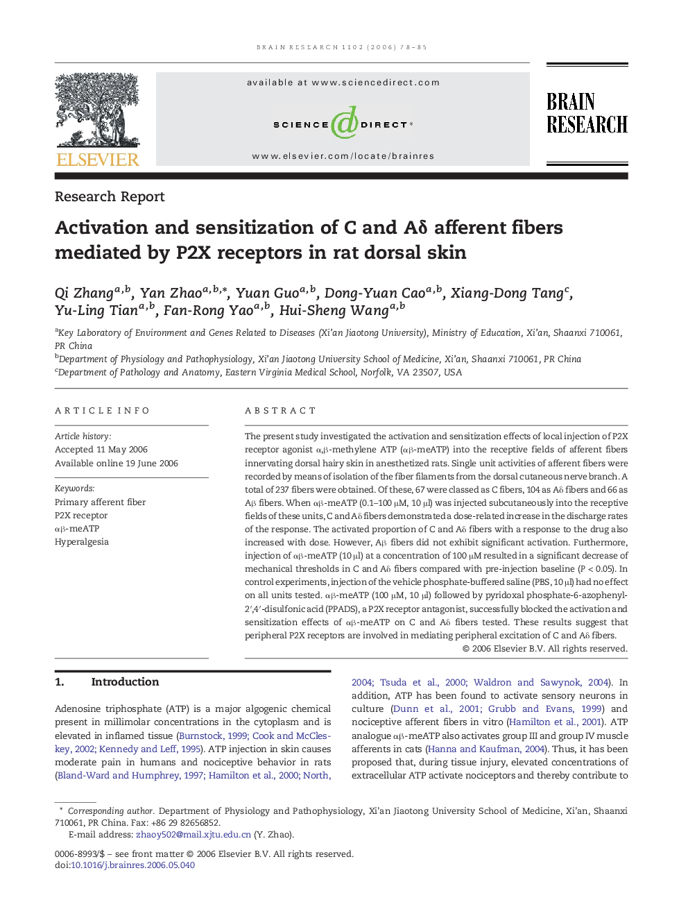 Activation and sensitization of C and AÎ´ afferent fibers mediated by P2X receptors in rat dorsal skin