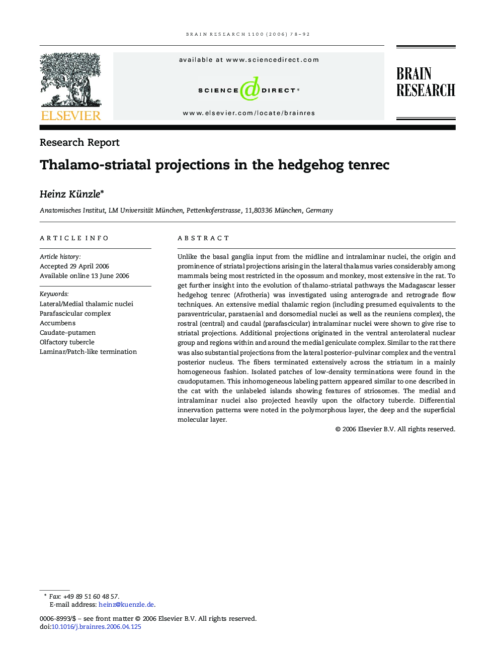 Thalamo-striatal projections in the hedgehog tenrec