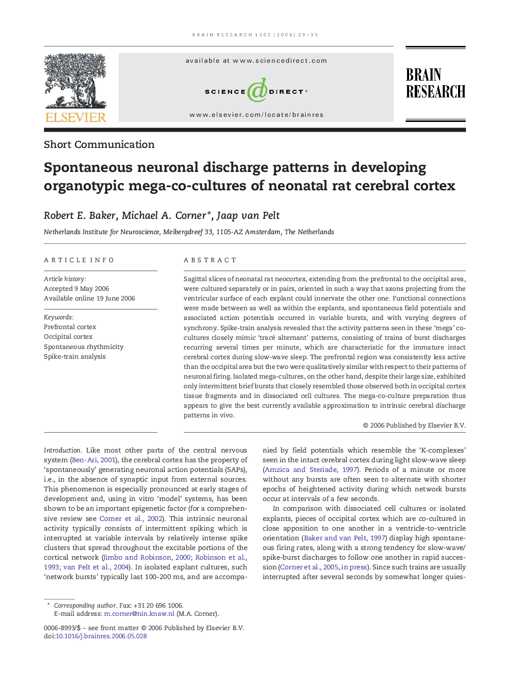 Spontaneous neuronal discharge patterns in developing organotypic mega-co-cultures of neonatal rat cerebral cortex