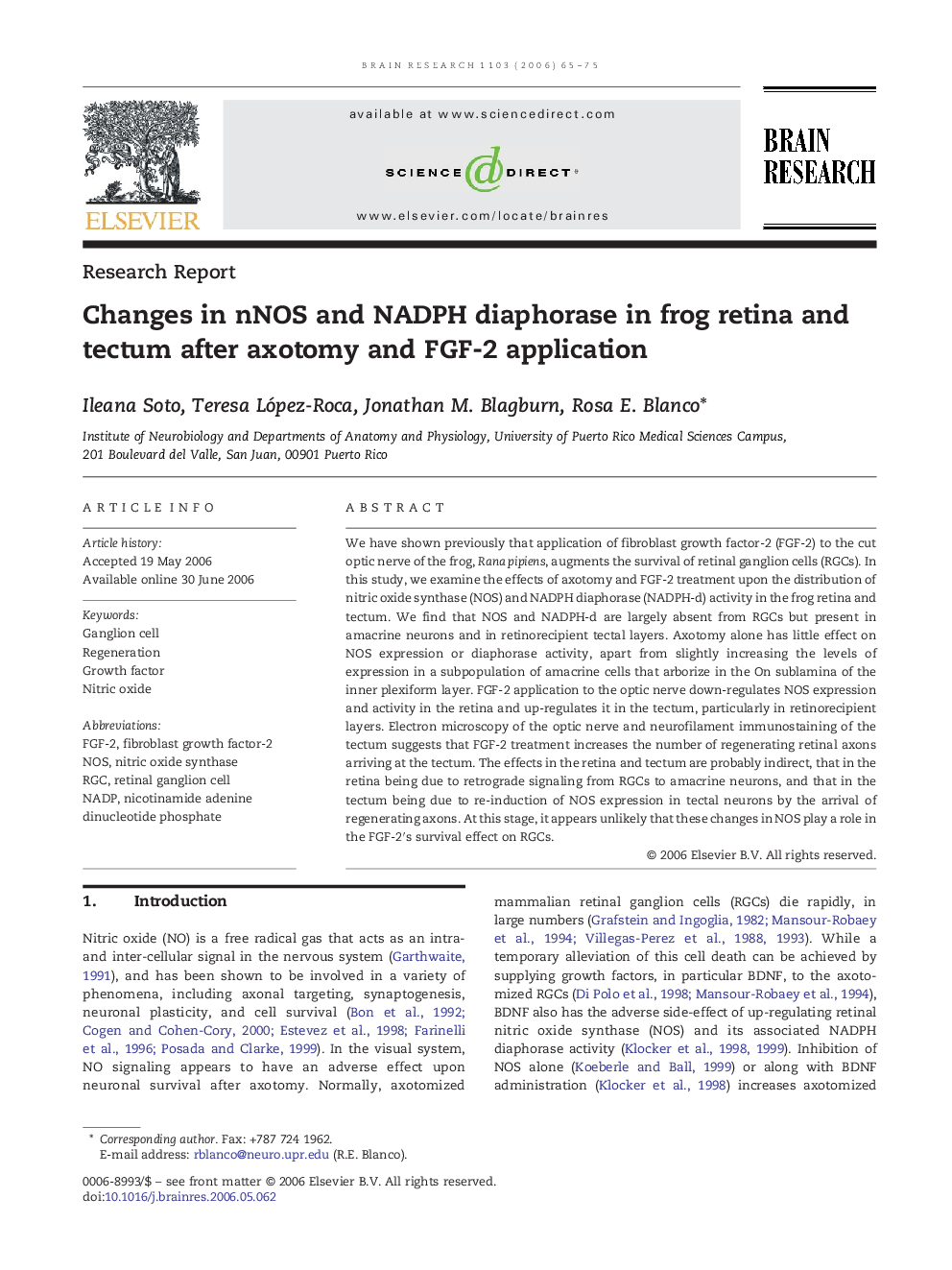 Changes in nNOS and NADPH diaphorase in frog retina and tectum after axotomy and FGF-2 application