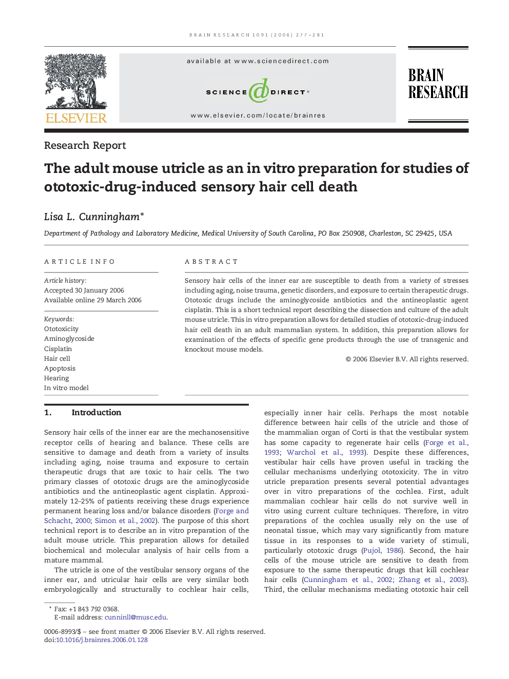 The adult mouse utricle as an in vitro preparation for studies of ototoxic-drug-induced sensory hair cell death