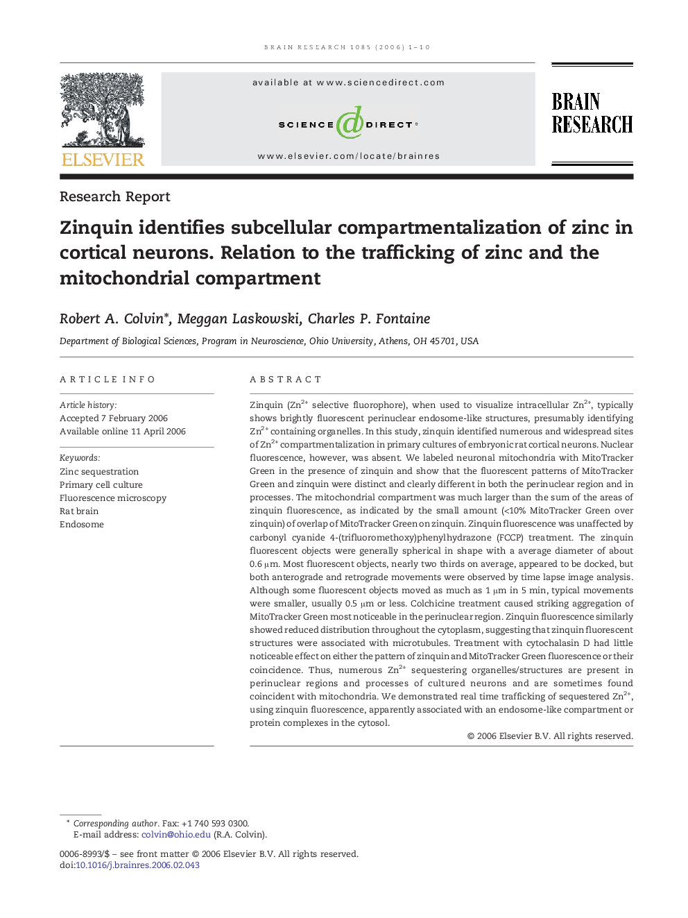 Zinquin identifies subcellular compartmentalization of zinc in cortical neurons. Relation to the trafficking of zinc and the mitochondrial compartment