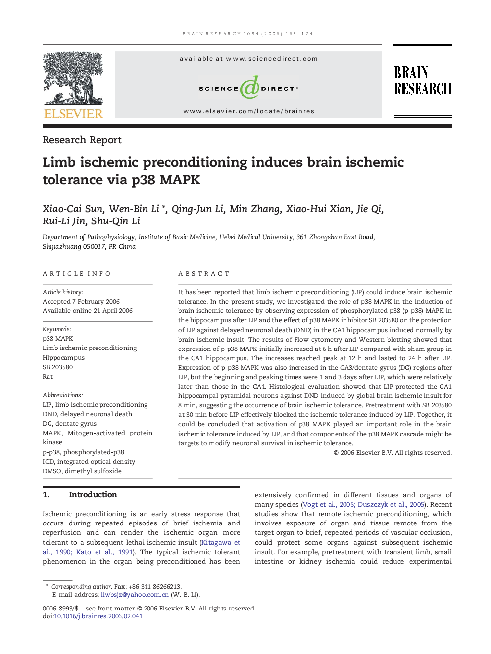 Limb ischemic preconditioning induces brain ischemic tolerance via p38 MAPK